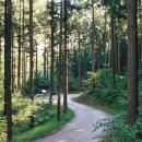 펄라이트존(ZONE) 이미지