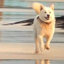 기봉이 농장 네이버블로그