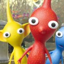 마리블룸 이미지