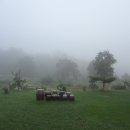 진경원민박캠핑장 이미지