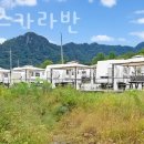넵투누스 카라반