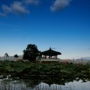 죽동체육공원 이미지