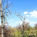 중앙공원 산책로 이미지