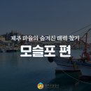 제주도 남서부·가파도·마라도 네이버블로그