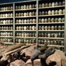 신안경원 이미지