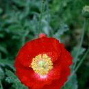 밤나무산장 이미지