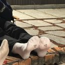 B&B 스크린골프 | 익산 감성펜션 추천, 에어비엔비 숙소 후기(바베큐,불명,조식,스크린골프)