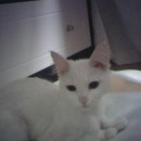 잠원동016 이미지