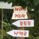 메밀촌 봉평 막국수 이미지