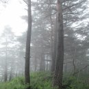 봉동리회관옆 이미지