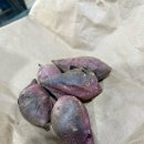 드링크목장 | [낙농체험] 겨울엔 아이와 체험이 답이다!! ‘꿈목장’