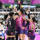 흥국생명 이미지