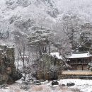 계곡&풍경 이미지