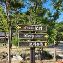 풍일로(일직면) 이미지