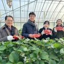 청춘농장 이미지