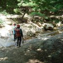 개울옆길 이미지