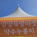 솥쟁이