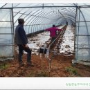 황토골농장 이미지