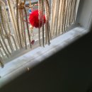 최고산면옥 이미지