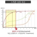 신탄진용정초교 이미지