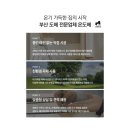 쌍용기초소재주식회사 | 부산부분도배잘하는곳 :: 사직동 쌍용예가 아파트 부분도배 시공 후기 :: 온도배
