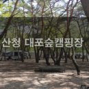 대포숲캠핑장 이미지