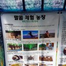 말콤승마빌 이미지