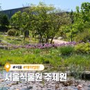 11650-5-50-12 | 서울식물원 주제원 주차장 입장료 등 직접 방문 후기 (강아지 동반 불가)