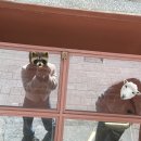 대덕산3길 | 3월로그 (+홍대 오엠지세라믹 키링 수령)