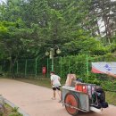 남통동 족구장 | 구미 계곡 물놀이 무료 금오산 야영장 캠핑