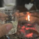 코뚜레 - 고양시 덕양구 원흥5로 25 | 원주 소고기 맛집 추천, 코뚜레정육식당 꽃갈비살 솔직후기