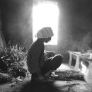 옛날꽁보리밥 이미지