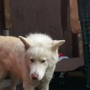 풍호농장 이미지