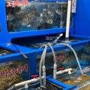 장성소고기 | 가락시장 횟집 맛집 추천, 장성수산 오마카세 포장 솔직 후기