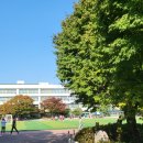 용산 구룡초등학교 이미지