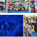 도원결의태권도장 이미지