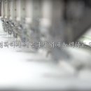 대성어패럴