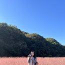 GS25옥천향수점 네이버블로그