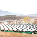 연리보건진료소 이미지