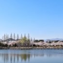 주소 맞은편 공원 이미지