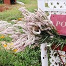 아드레이 이미지