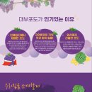 대부 - 북구 동암로12길 22 | 대부
