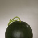 동오유통