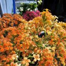 강서구여성센터 | 강서구복지센터 방문요양 이용 후기, 어머니와 저 모두에게 쉼이 찾아왔습니다