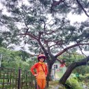 관설초등학교 이미지