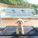 데이오프파주 네이버블로그