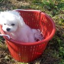 용대농장 이미지