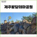 제주도 월정리 가볼만한 곳 제주밭담테마공원 돌담체험 포토존