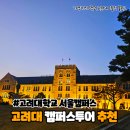 고려대학교 캠퍼스투어 법대 경영대 관람후기