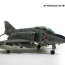 하세가와 1/48 QF-4S Phantom II VX-30 BLOODHOUNDS 이미지